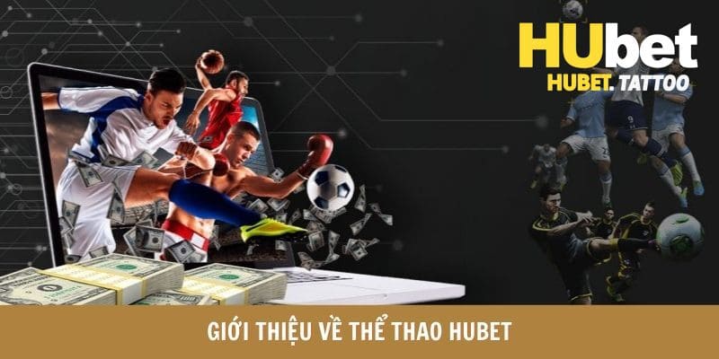 Giới thiệu sảnh game thể thao Hubet